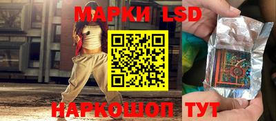 сатива Будённовск