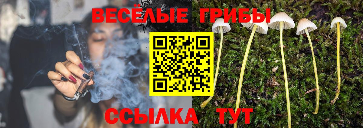 Аргун  Псилоцибиновые грибы мухоморы  Вход с VPN 